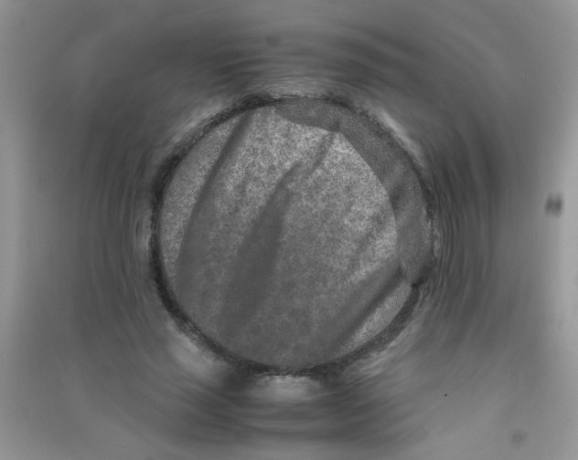 X0000090620637200708141414