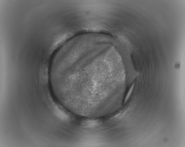 X0000090620638200708141414