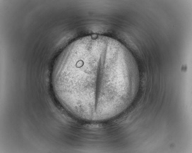 X0000090620639200708141414