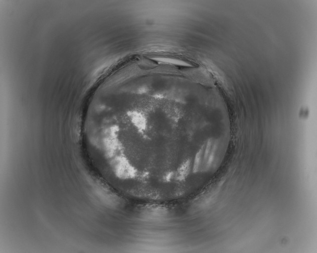 X0000090620640200708141414