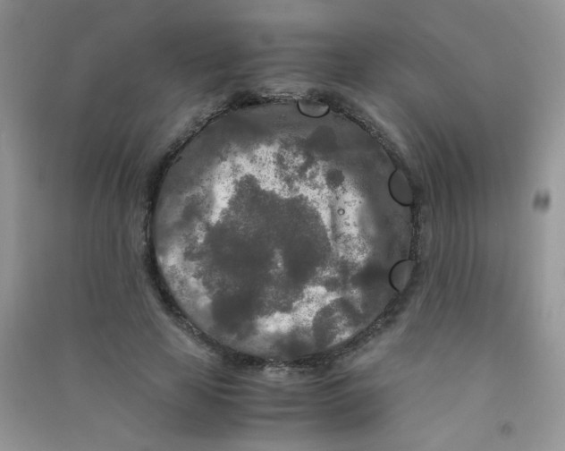 X0000090620641200708141414