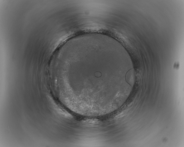 X0000090620642200708141414