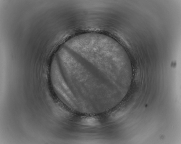 X0000090620643200708141414