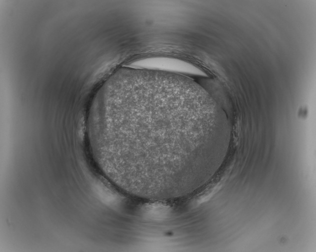 X0000090620644200708141414