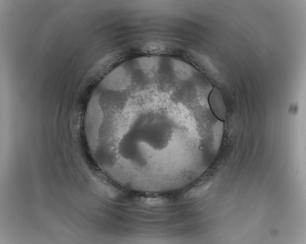 X0000090620645200708141414