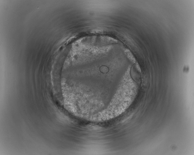 X0000090620648200708141414