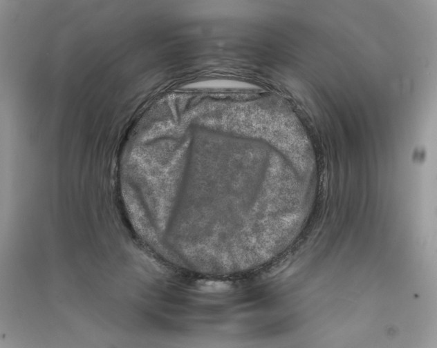 X0000090620649200708141414