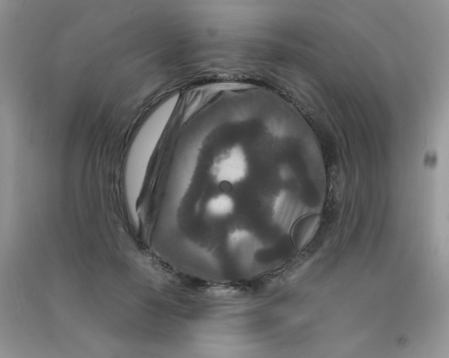 X0000090620650200708141414