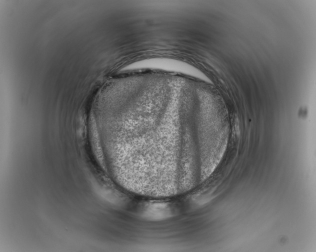 X0000090620651200708141414