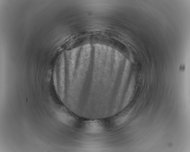 X0000090620652200708141414