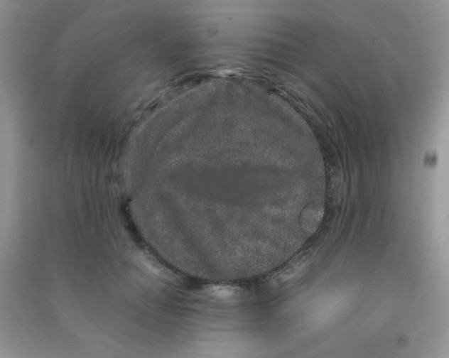 X0000090620654200708141414