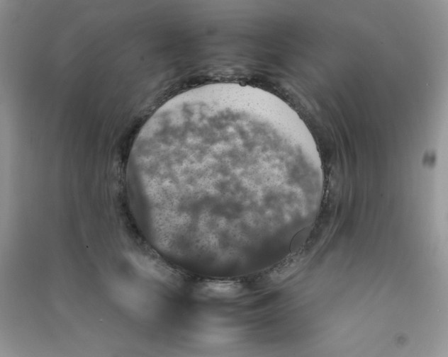 X0000090620659200708141414