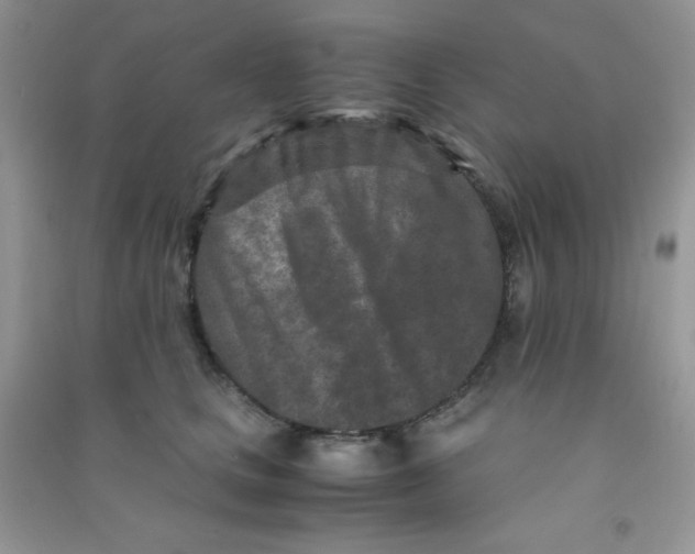 X0000090620661200708141414