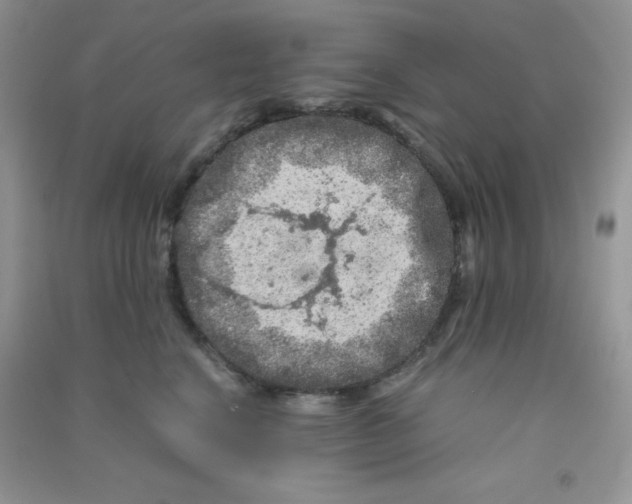 X0000090620664200708141414