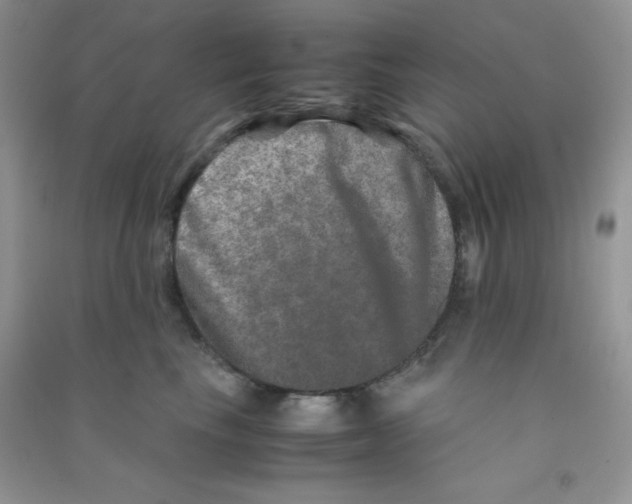 X0000090620665200708141414