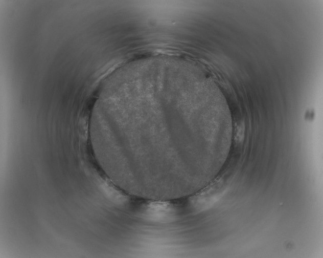 X0000090620666200708141414