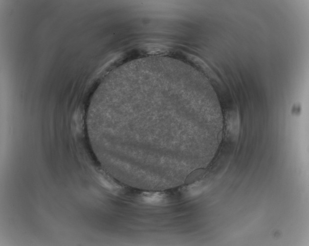 X0000090620667200708141414