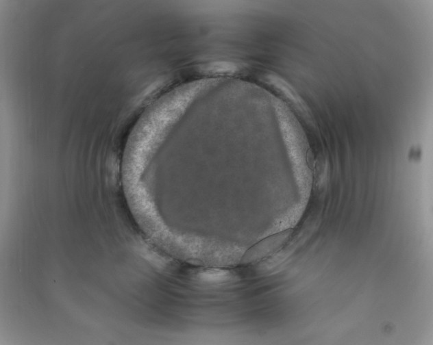 X0000090620669200708141414