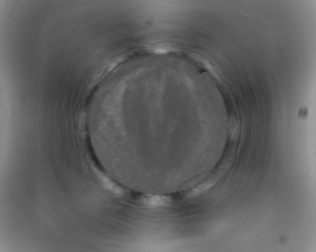 X0000090620670200708141414