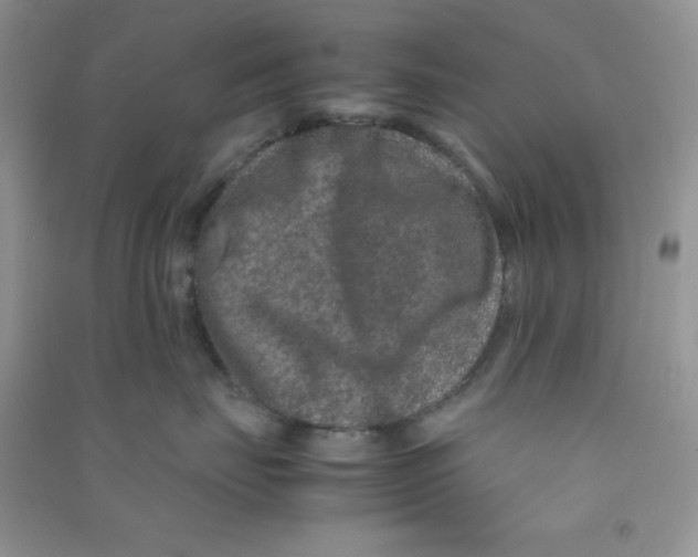 X0000090620671200708141414