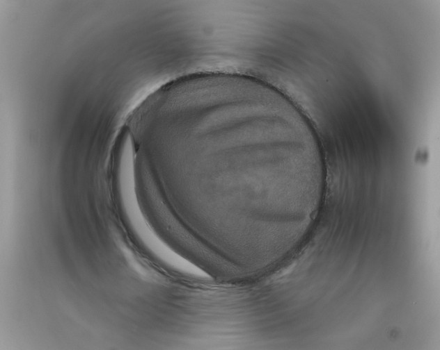 X0000090620674200708141413