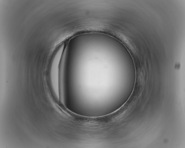 X0000090620677200708141413