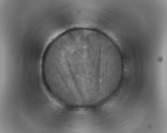 X0000090620678200708141413