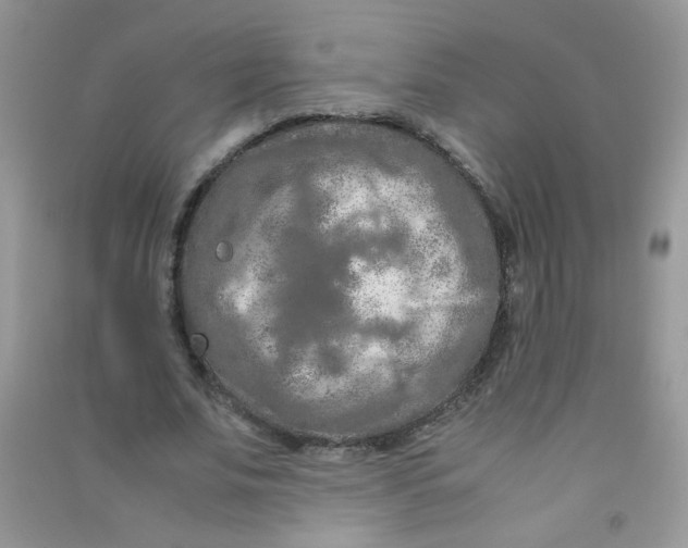 X0000090620679200708141413