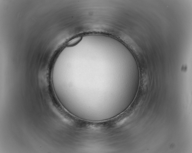 X0000090620680200708141413