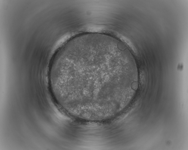 X0000090620682200708141413