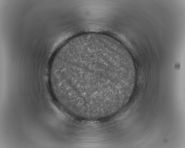 X0000090620683200708141413