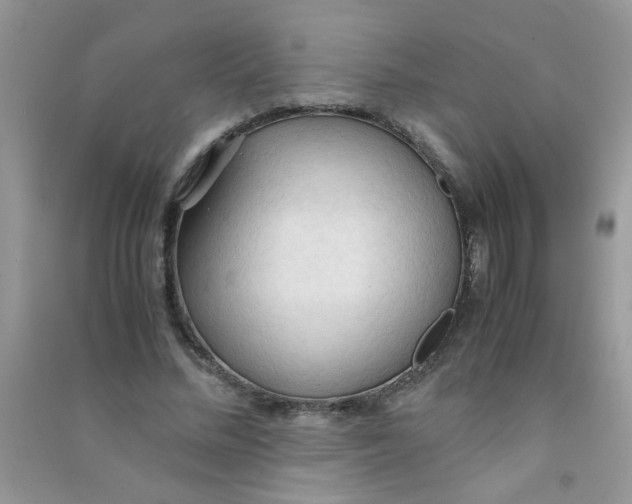 X0000090620684200708141413