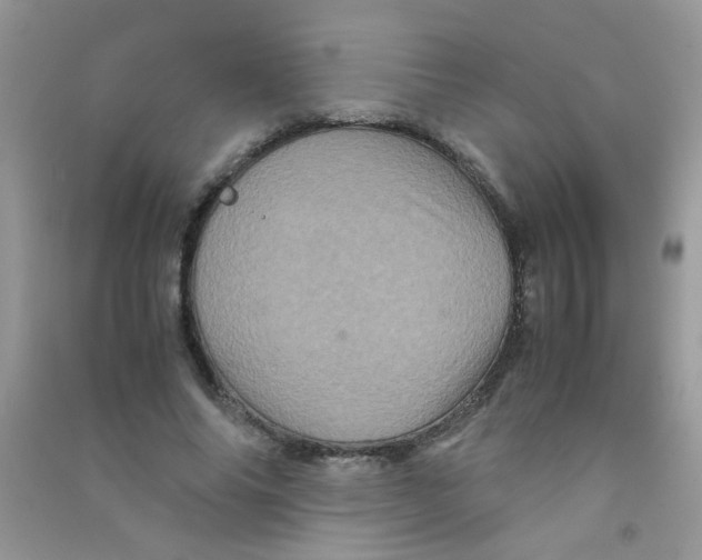 X0000090620686200708141413