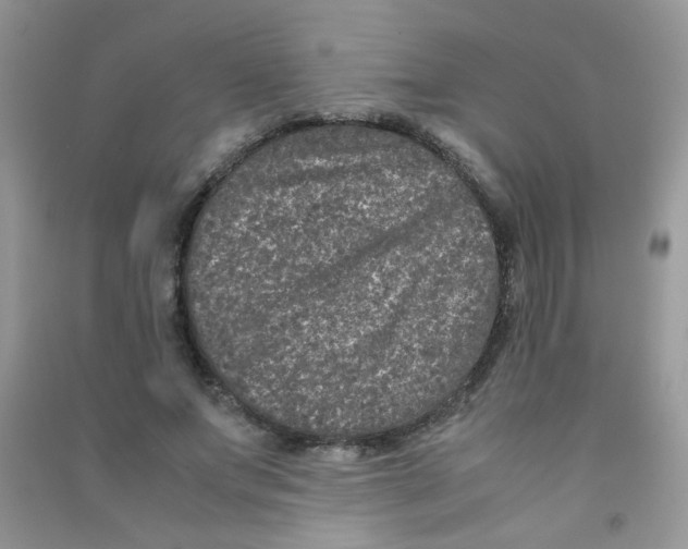 X0000090620687200708141413