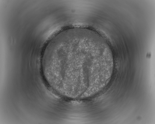 X0000090620690200708141413