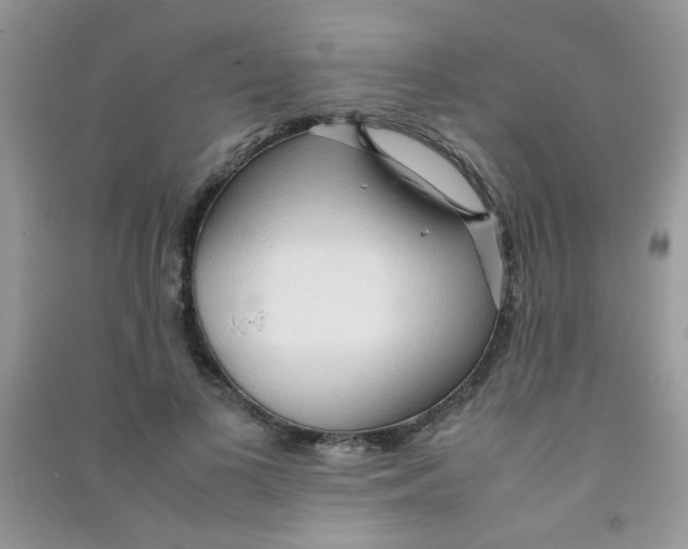 X0000090620693200708141413