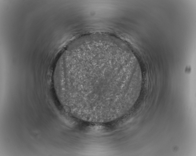 X0000090620695200708141413