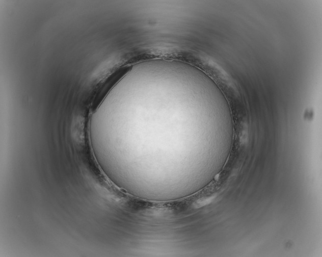 X0000090620696200708141413