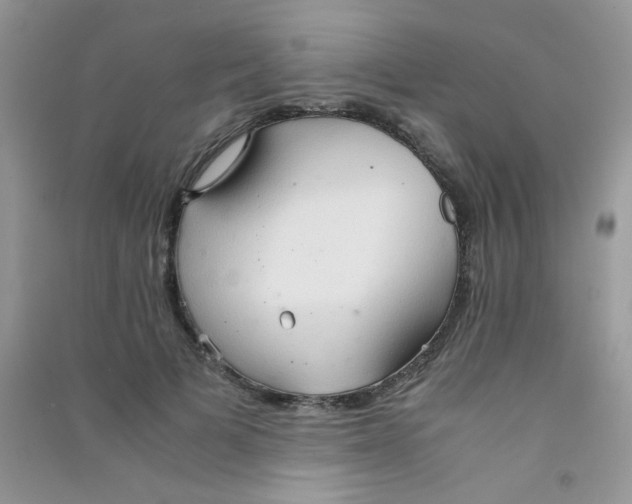 X0000090620697200708141413