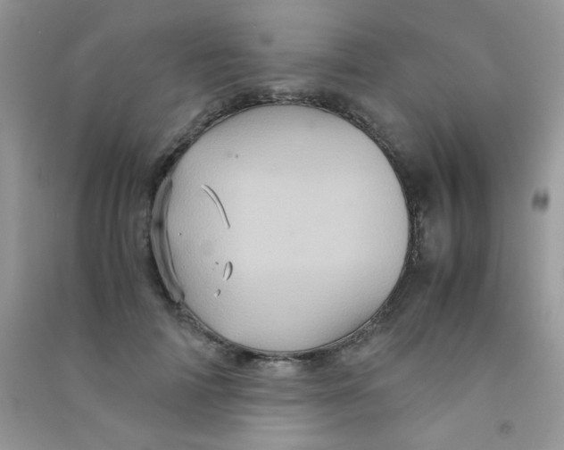 X0000090620698200708141413