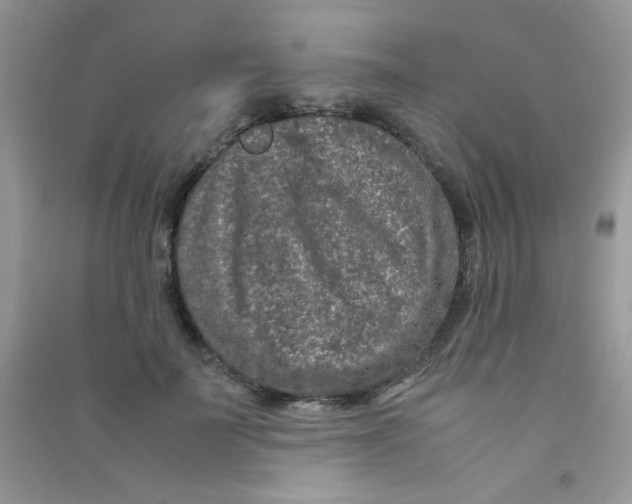 X0000090620699200708141413