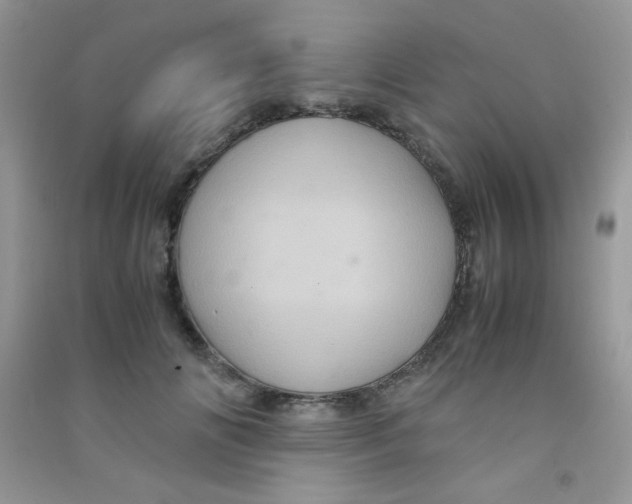 X0000090620702200708141413