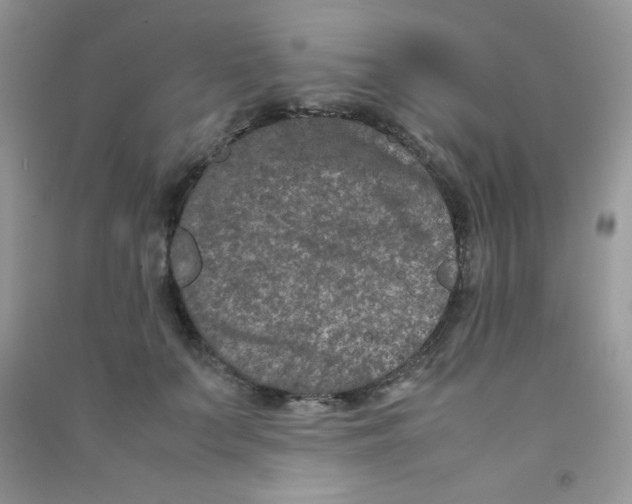 X0000090620703200708141413