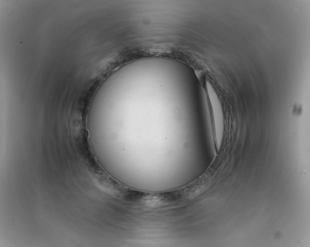 X0000090620704200708141413