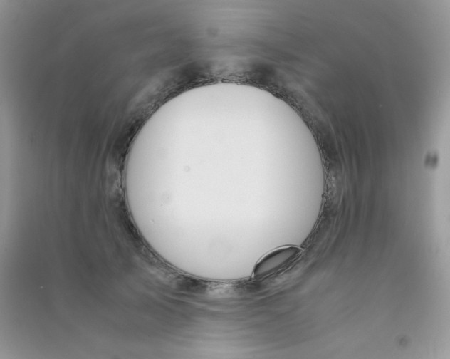 X0000090620705200708141413