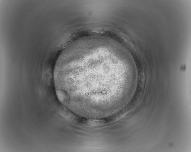 X0000090620707200708141413