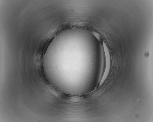 X0000090620708200708141413