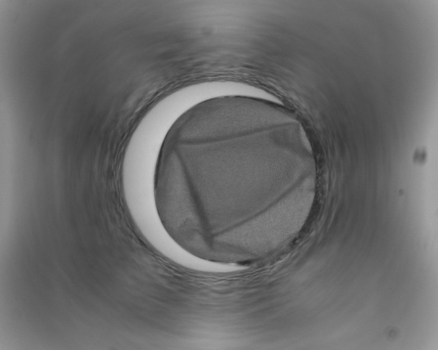 X0000090620709200708141413