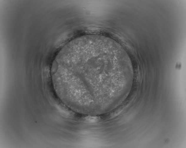 X0000090620711200708141413