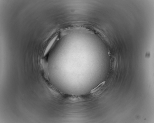 X0000090620712200708141413